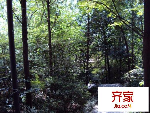 華新都市花園外景圖
