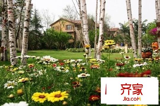 龍湖睿城瀾溪坊外景圖 
