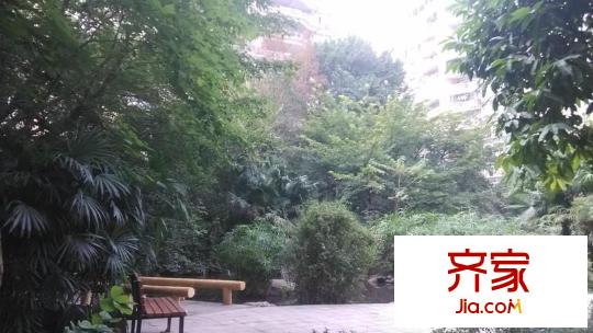 麗水菁苑外景圖麗水箐苑 