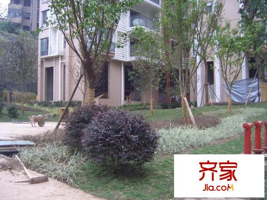 麗水菁苑外景圖