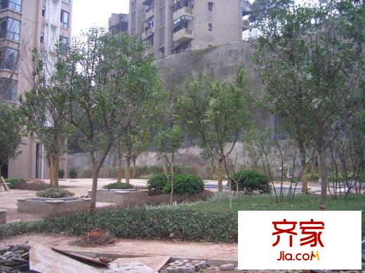 麗水菁苑外景圖