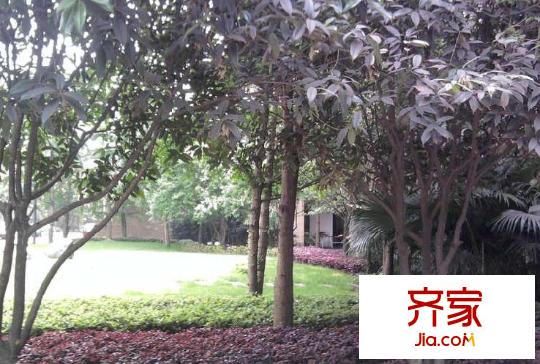 龍湖紫都城外景圖