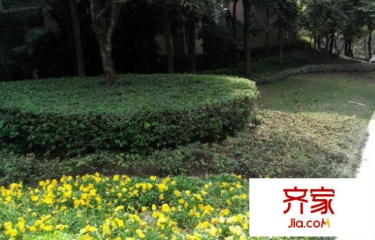 龍湖紫都城外景圖