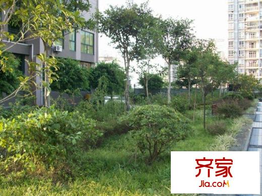 金城銀樽外景圖小區(qū)相關(guān)圖_4