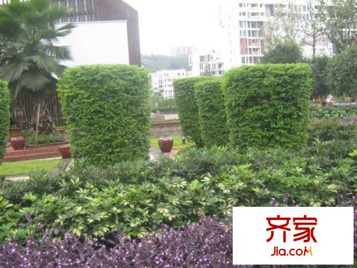 同創(chuàng)高原外景圖小區(qū)相關(guān)圖_6