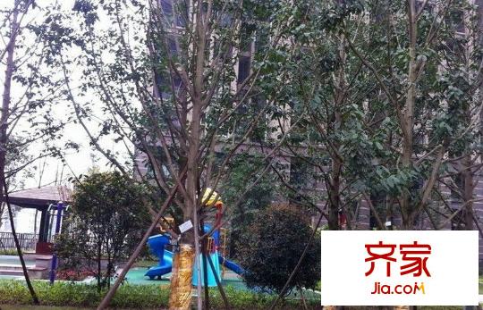 金融街金悅城外景圖 