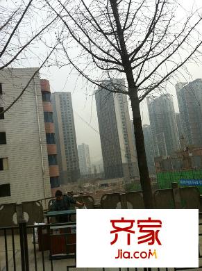 金融街金悅城外景圖