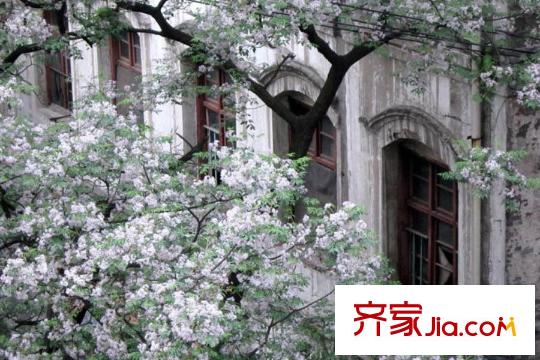 融創(chuàng)白象街項目周邊藥材公會舊址