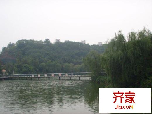 金科天湖美鎮(zhèn)外景圖