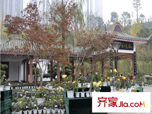 中渝梧桐郡梧桐公館配套圖周邊龍頭寺公園
