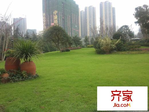 中渝梧桐郡梧桐公館實(shí)景圖小區(qū)實(shí)景（2012.12）