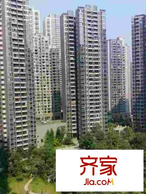 珠江國(guó)際外景圖 