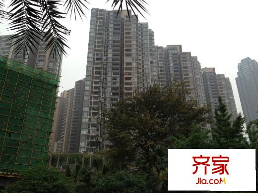 珠江國際外景圖（2013.5）