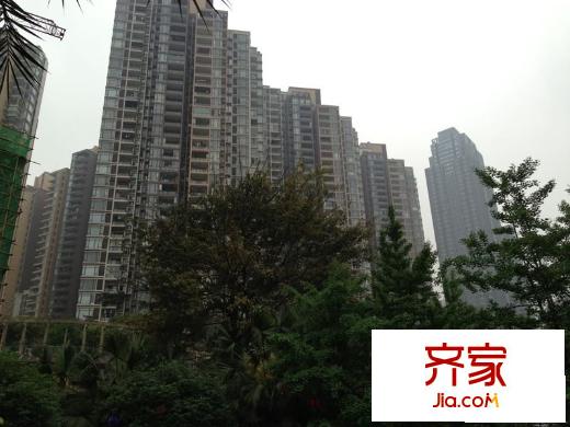 珠江國際實(shí)景圖小區(qū)（2013.5）