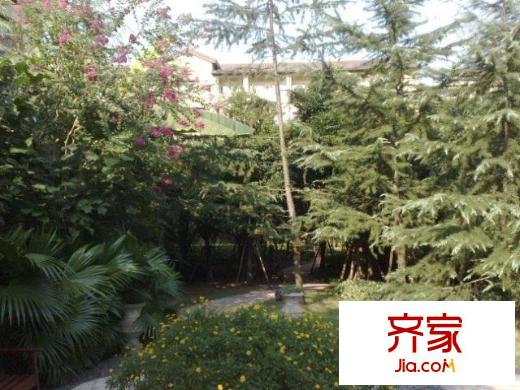 龍湖弗萊明戈外景圖