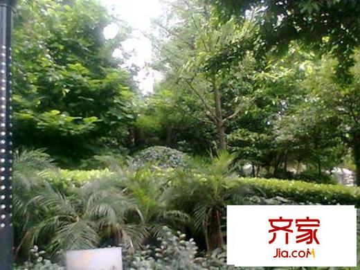 金科金砂水岸外景圖