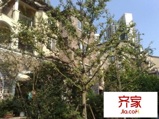 龍湖弗萊明戈外景圖