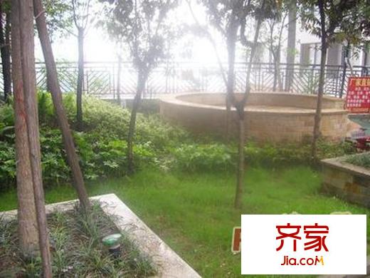 康田國際