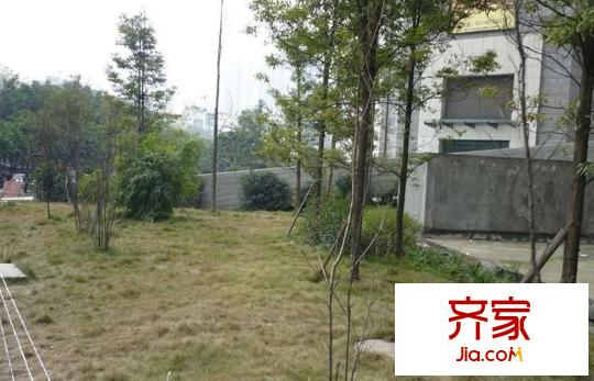 大鼎第一時(shí)間外景圖