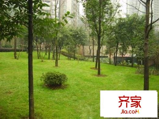 大鼎第一時(shí)間外景圖 