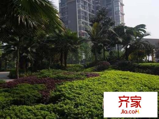 大鼎第一時(shí)間外景圖
