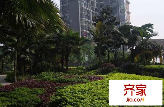 大鼎第一時(shí)間外景圖