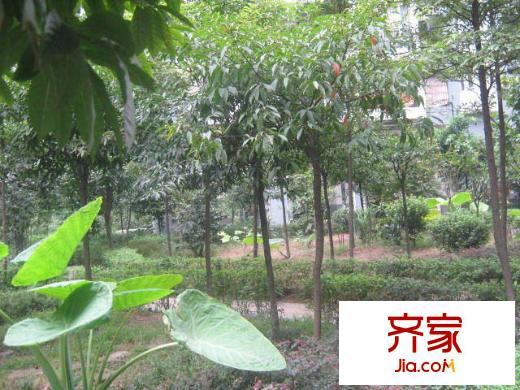地博春天外景圖