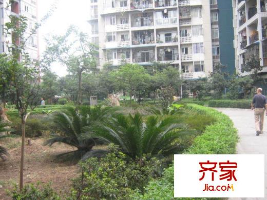 地博春天外景圖