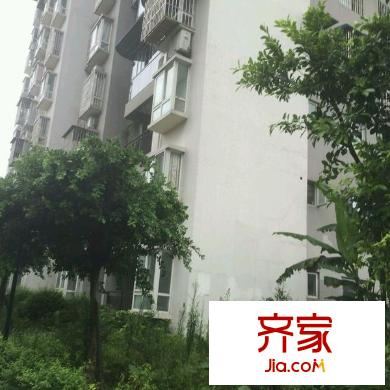 盛世龍都A區(qū)外景圖盛世龍都 