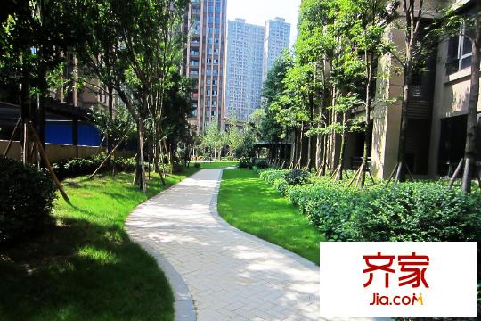 財(cái)信沙濱城市項(xiàng)目小區(qū)綠化實(shí)景（2015.09.10）