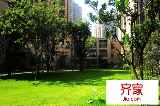財(cái)信沙濱城市項(xiàng)目小區(qū)綠化實(shí)景（2015.09.10）