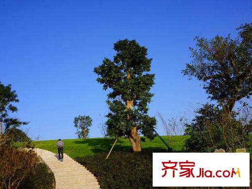 申佳上海時光周邊渝北中央公園
