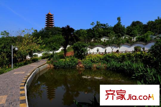 中振湖霞郡項(xiàng)目周邊照母山森林公園