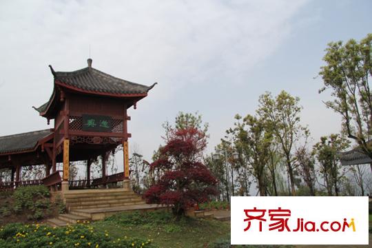 中振湖霞郡項(xiàng)目周邊照母山森林公園