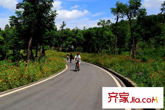 中振湖霞郡項(xiàng)目周邊照母山森林公園
