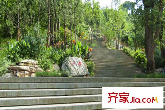 中振湖霞郡項(xiàng)目周邊照母山森林公園