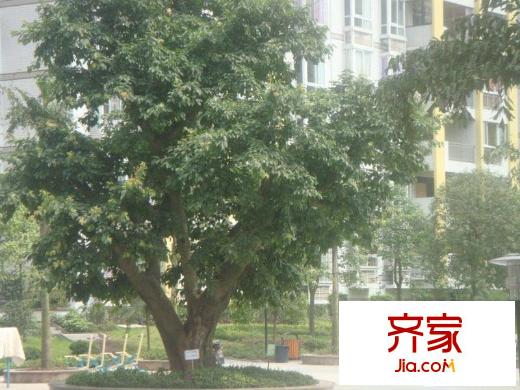 空港圣地外景圖