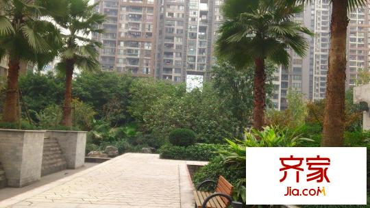 魯能星城十一街區(qū)外景圖 