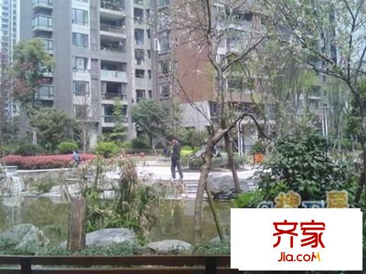 魯能星城十一街區(qū)外景圖 