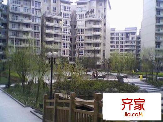 金香林