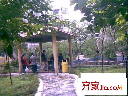 金香林配套圖小區(qū)相關(guān)圖