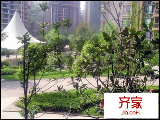 奧園康城c區(qū)外景圖