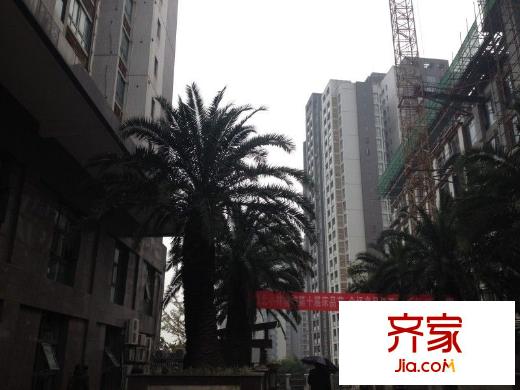 東衡檳城外景圖 