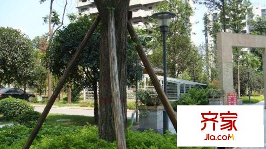 北岸新洲外景圖