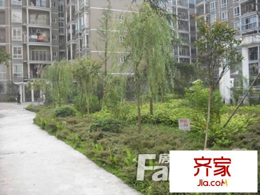 九地北岸明珠外景圖 