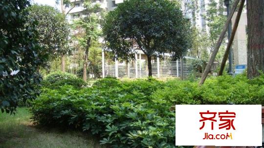北岸新洲