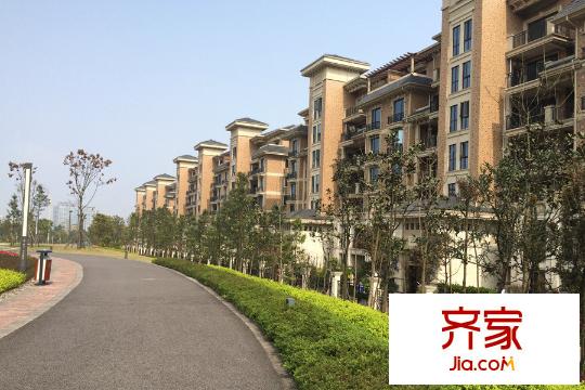 洋豐圣喬維斯樓體實(shí)景（2015-3-18）