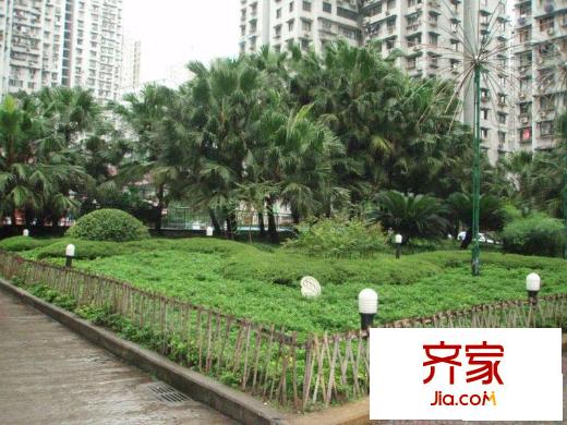 加州花園外景圖