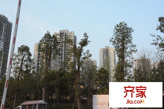 招商花園城小區(qū)樓棟實景（2015.03.24）