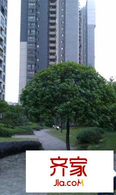 隆鑫國際外景圖 